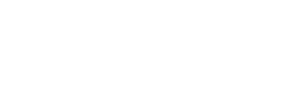 Two Nine 0